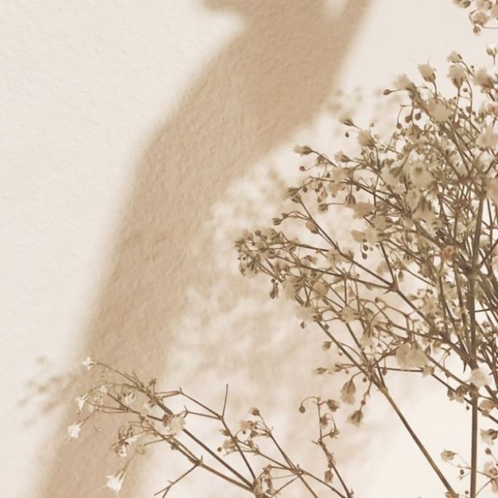 Meet your Posher, Ray